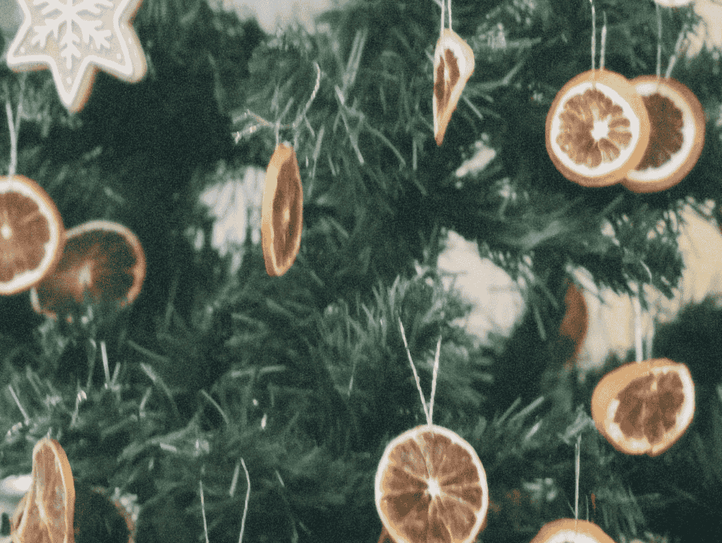 A Sweet Winter Starts Here