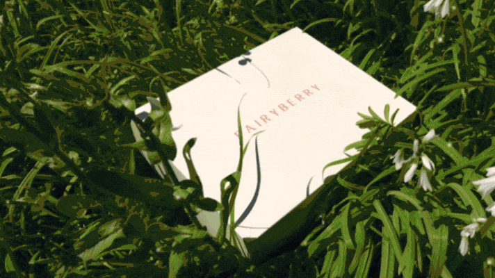 FairyBerry Package