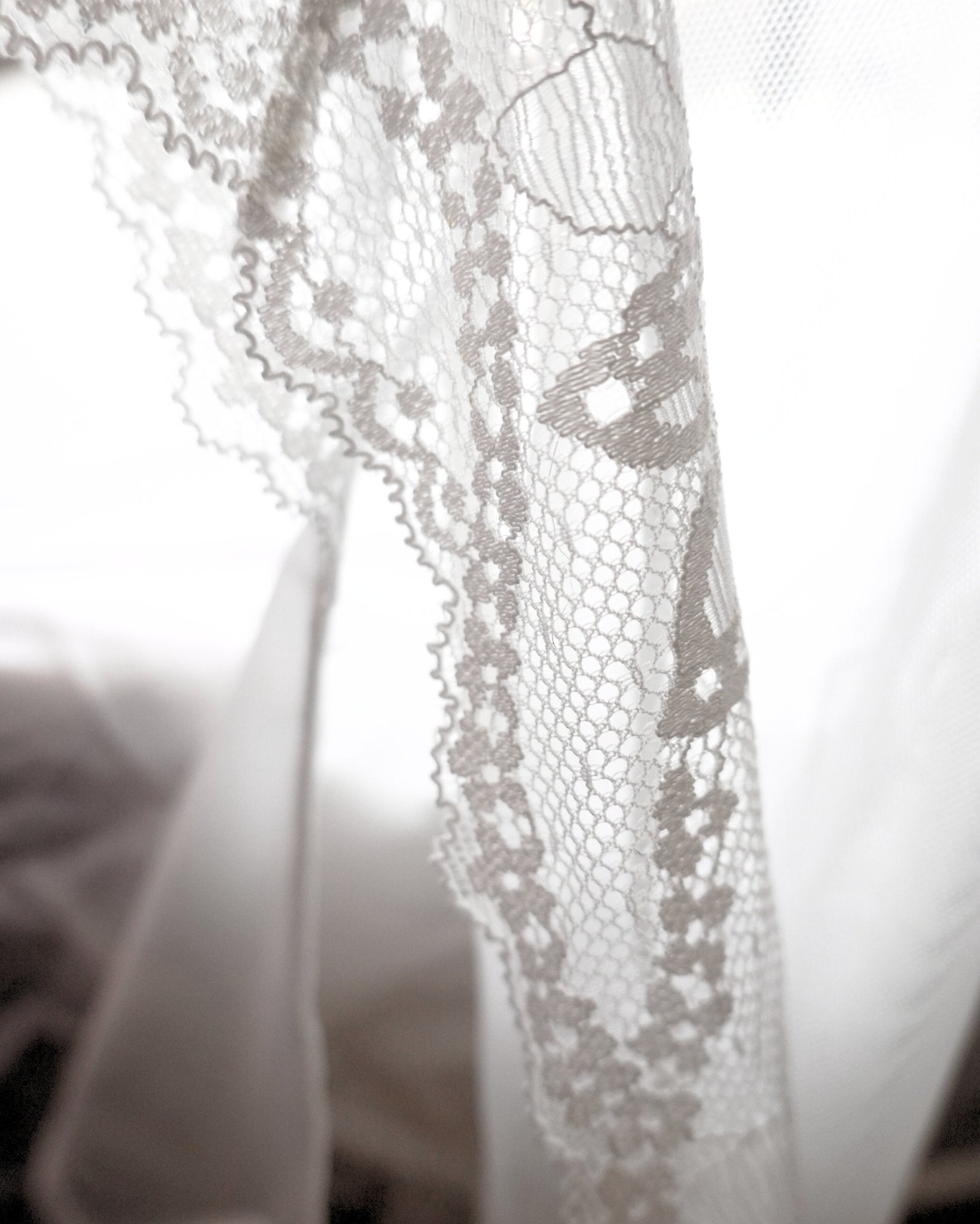 close view of lace Brief knicker